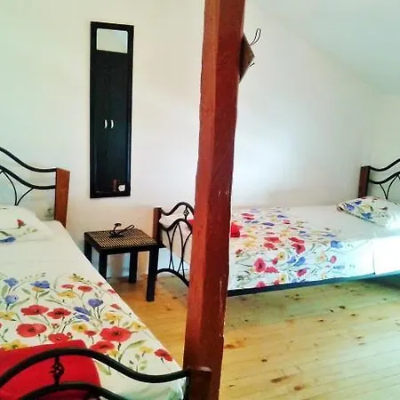 Guest The Old House بيت ضيافة بلوفديف